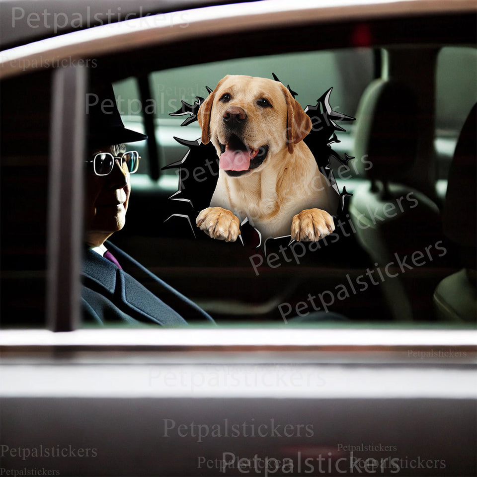 Glossy Lab dog decal styled smoothly across a clean car door surface.