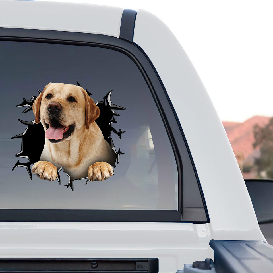 Eye-catching Lab sticker displayed proudly on the back window of a truck.