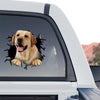 Eye-catching Lab sticker displayed proudly on the back window of a truck.