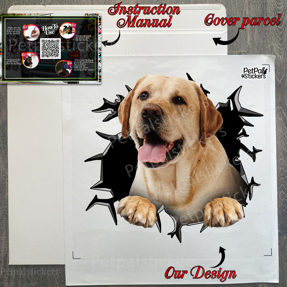 Unboxed Lab decal alongside application instructions inside its protective package.