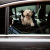 A curious Labradoodle graphic decal displayed neatly on a white car door.