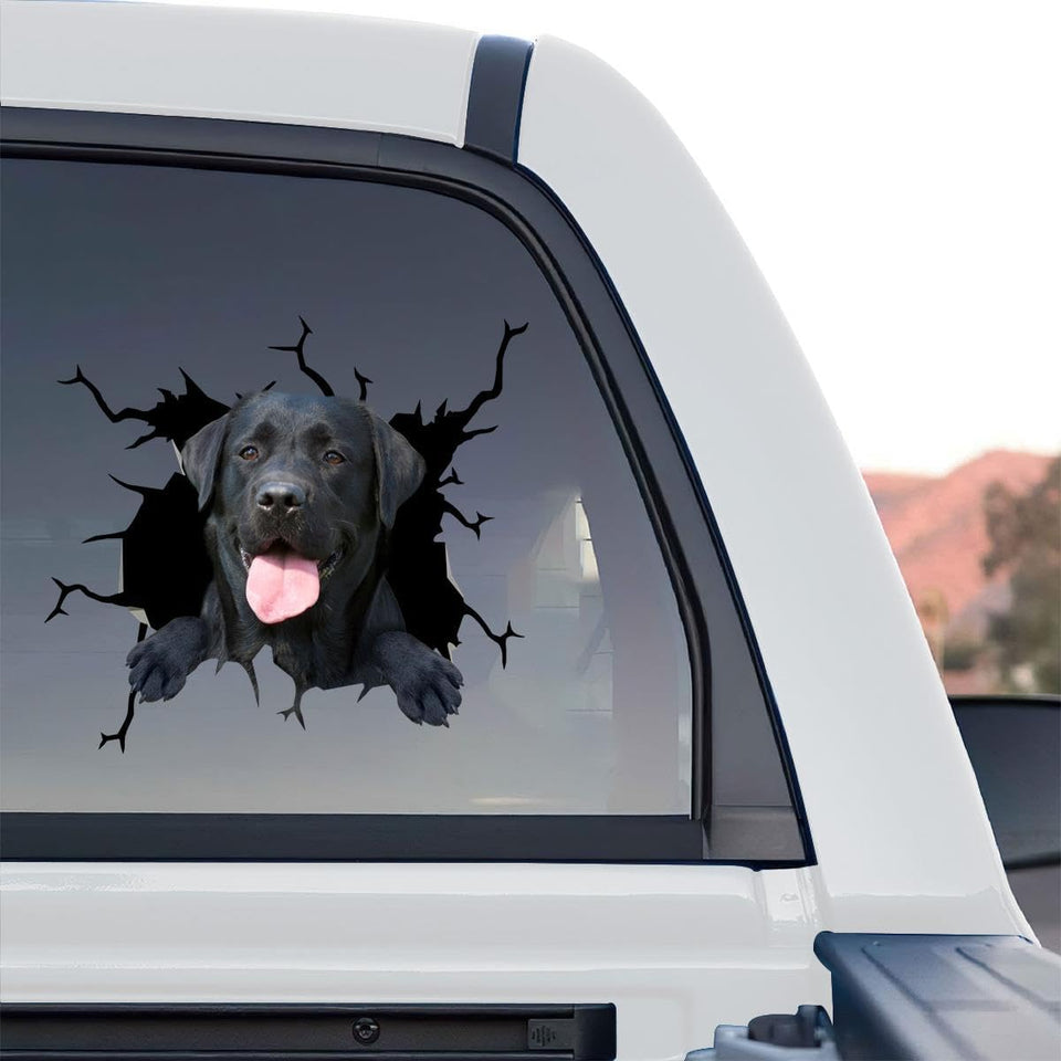 High-quality standalone product design featuring a detailed Labrador graphic decal.