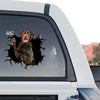 Glossy waterproof Labrador dog decal attached to the rear window of a truck.