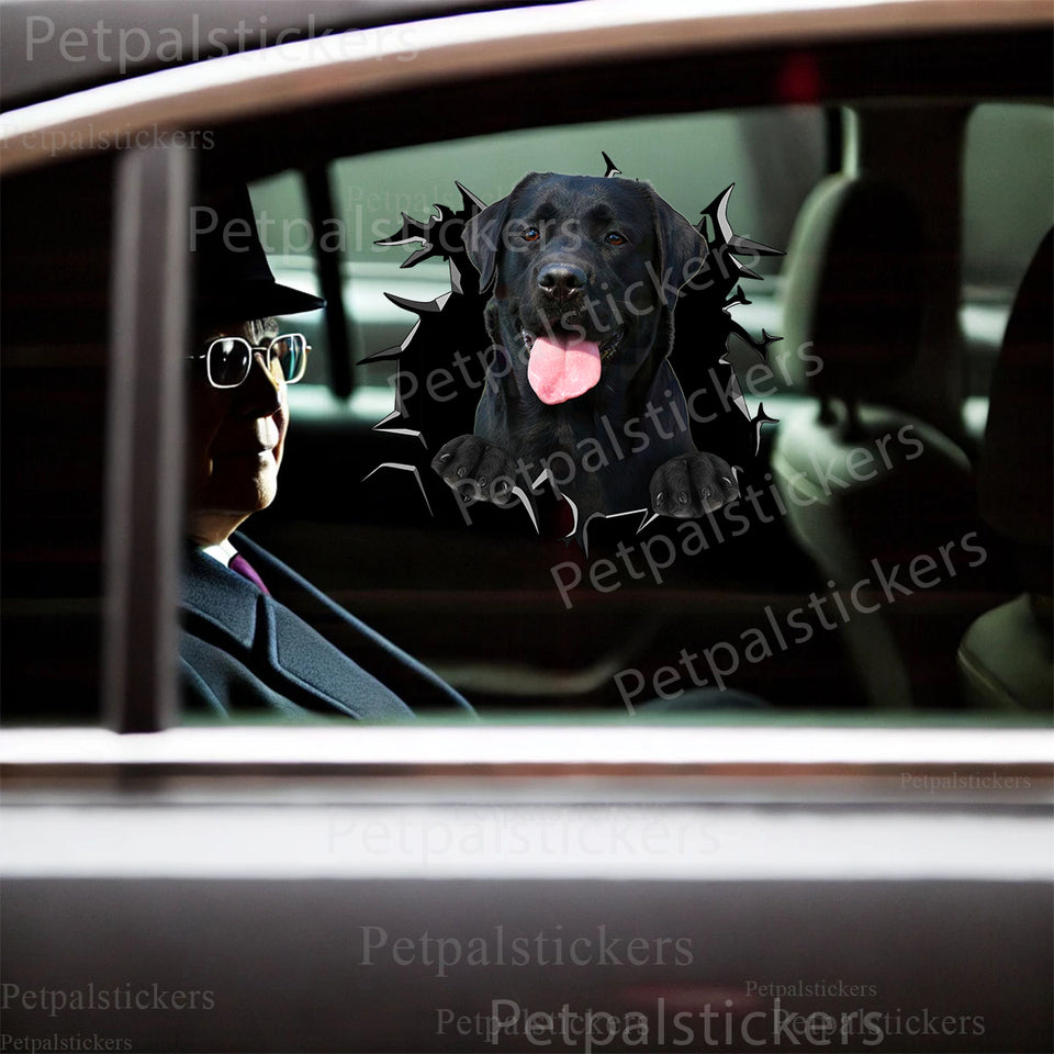 Adhesive Labrador graphic decal smoothly displayed on a clean car door surface.