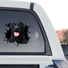 Vibrant Labrador vinyl decal applied cleanly to the rear window of a truck.