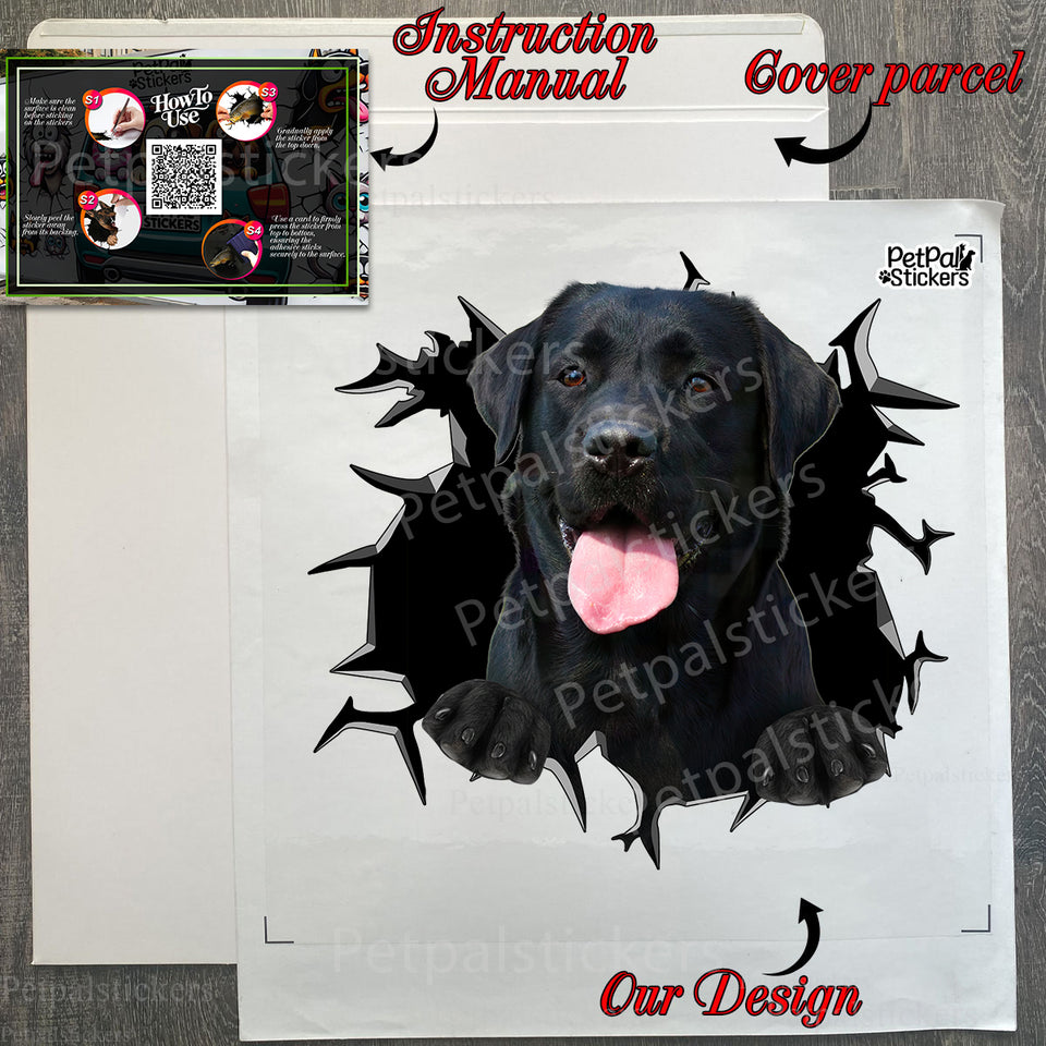 Carefully packed Labrador decal with clear package presentation and instructions.