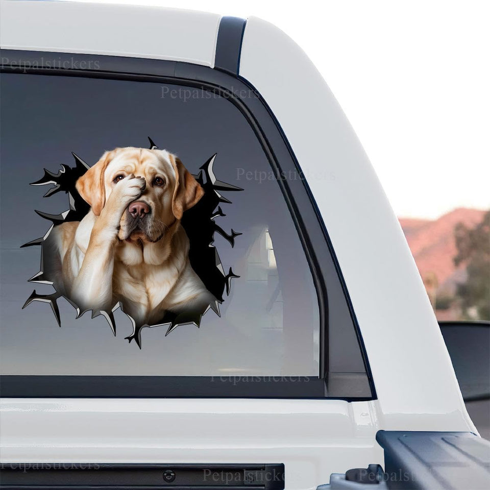 Labrador graphic artwork presented in a standalone product design format on clear vinyl.