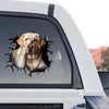 Labrador graphic artwork presented in a standalone product design format on clear vinyl.