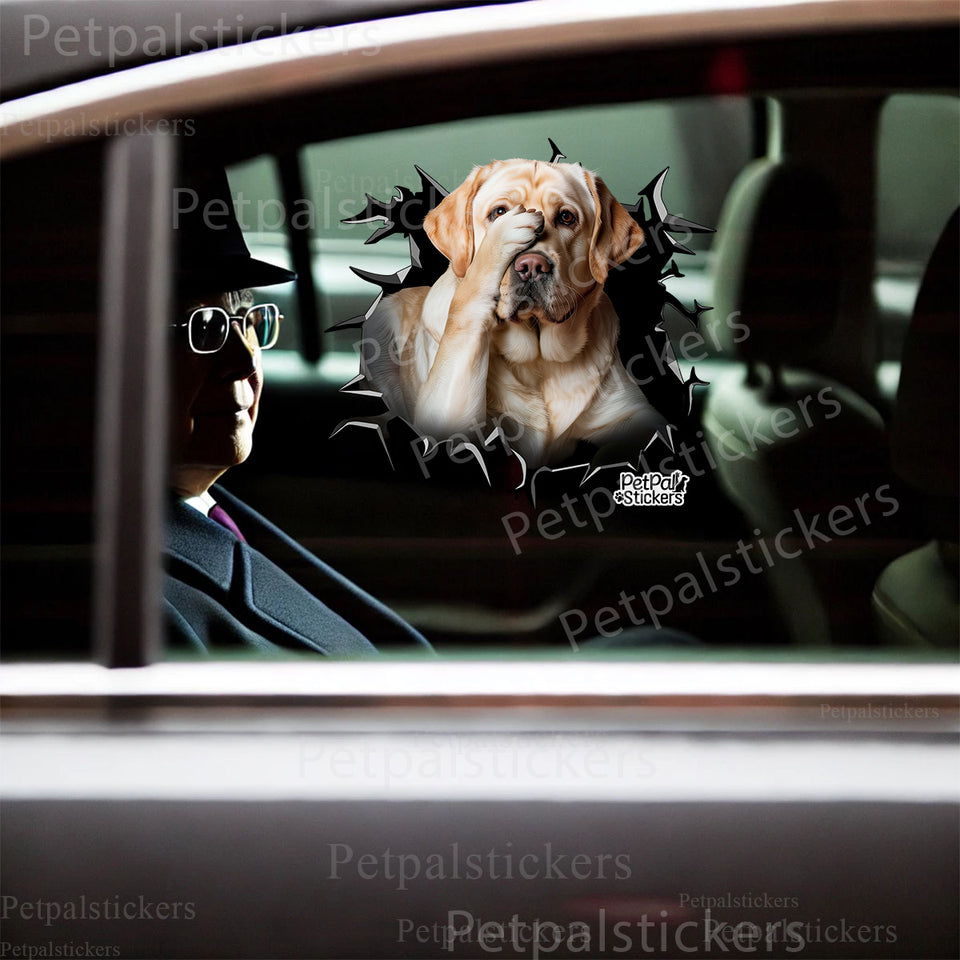 Charming Labrador decal installed cleanly onto a smooth car door exterior surface.