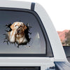 Vibrant Labrador dog window sticker displayed proudly on the back window of a truck.