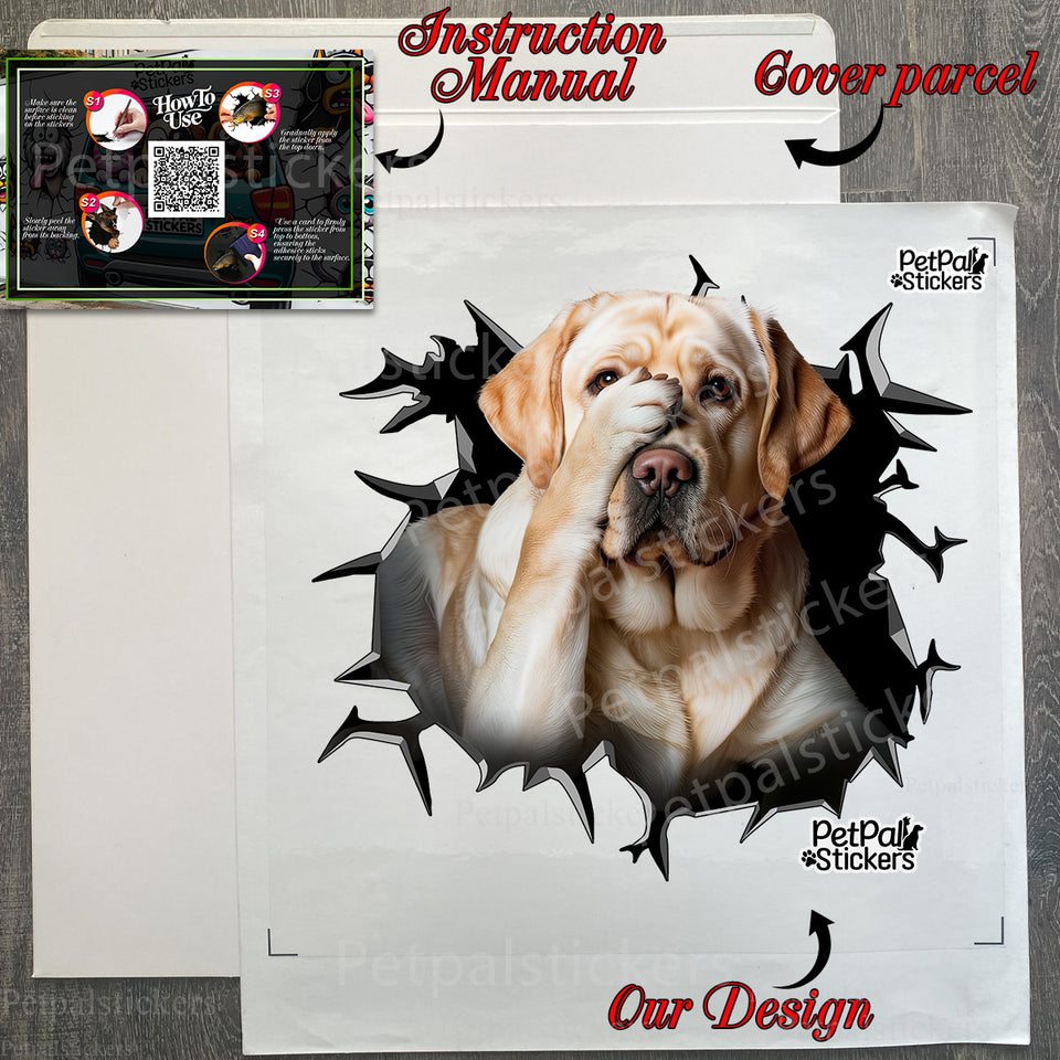 Carefully prepared package containing the Labrador vinyl car decal with instructions.