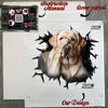 Carefully prepared package containing the Labrador vinyl car decal with instructions.