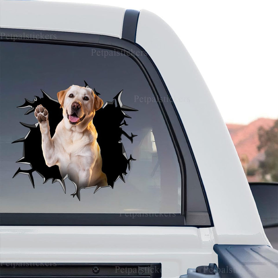 High-resolution standalone product design featuring a detailed Labrador graphic on clear vinyl.