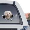 Clear standalone product design showing a charming Maltese dog graphic decal on a transparent background.
