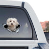 Glossy Maltese dog decal styled onto the rear window of a truck parked outdoors.