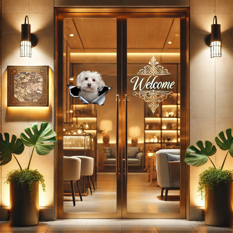 Transparent Maltese pet decal applied smoothly to a glass patio door.