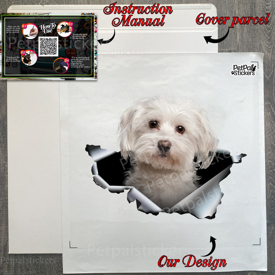Protective shipping package containing the Maltese vinyl decal with instructions.