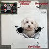 Protective shipping package containing the Maltese vinyl decal with instructions.