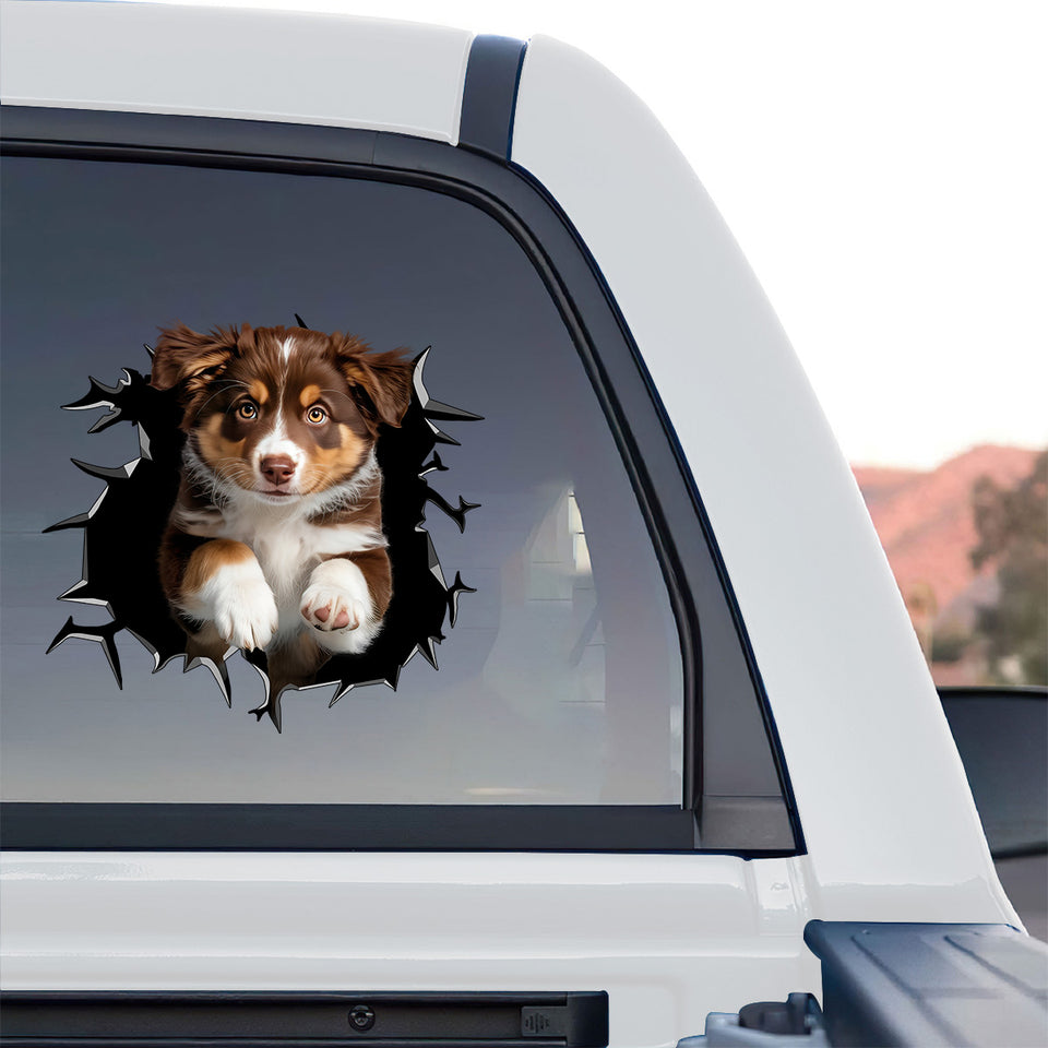 Colorful dog window graphic applied to the back glass of a truck.