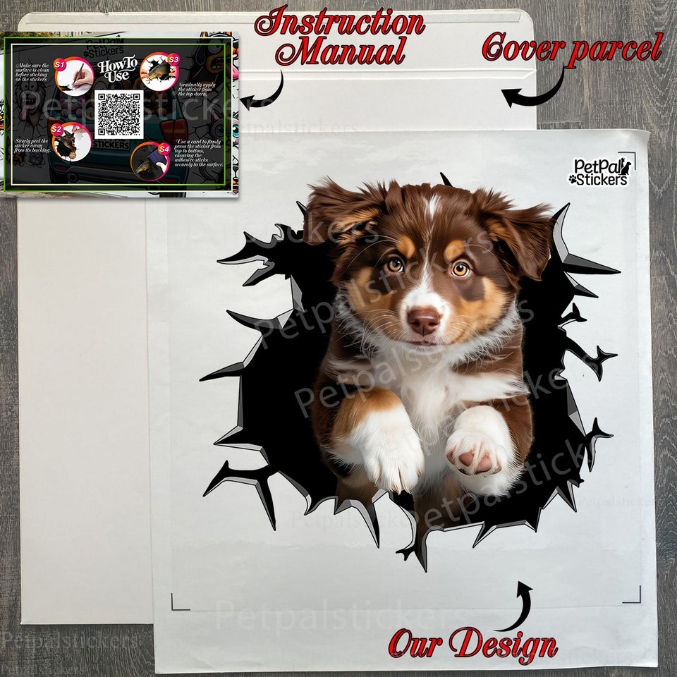 Protective decal package complete with easy-to-follow step-by-step instructions.