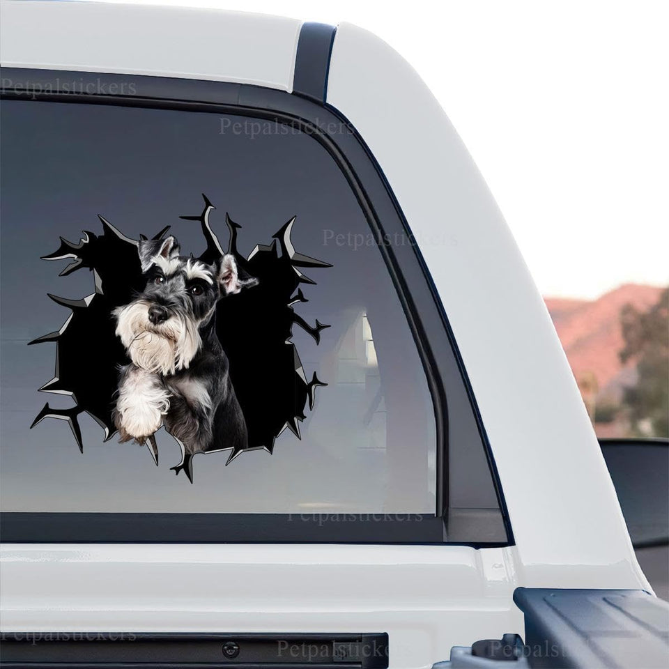 Miniature Schnauzer graphic decal artwork shown as a standalone product design on transparent film.
