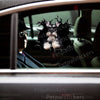 Realistic Miniature Schnauzer cracked window sticker applied smoothly to a white car door surface.