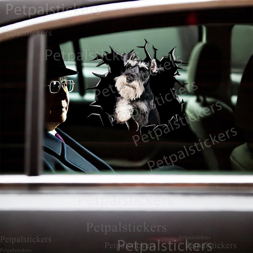 Clear vinyl dog sticker smoothly adhered to a white car door for outdoor display.