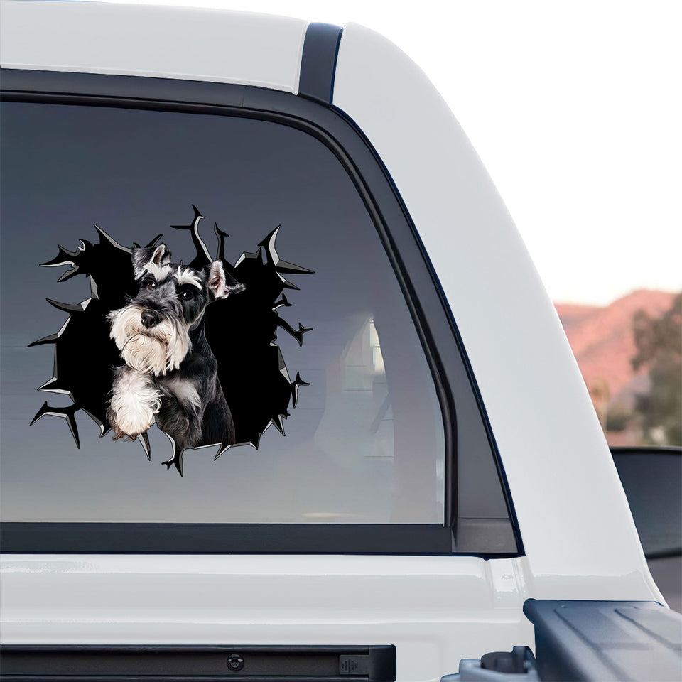 Gloss laminated Schnauzer face decal displayed prominently on the rear glass of a truck.