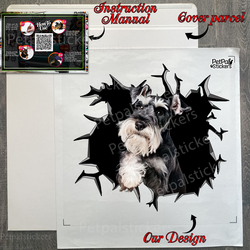 Securely boxed decal set in protective package ready for easy customer application.