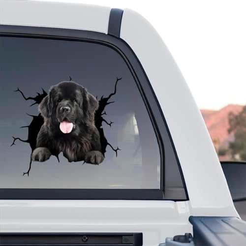 Newfoundland dog decal featuring bold artwork shown as a standalone product design.