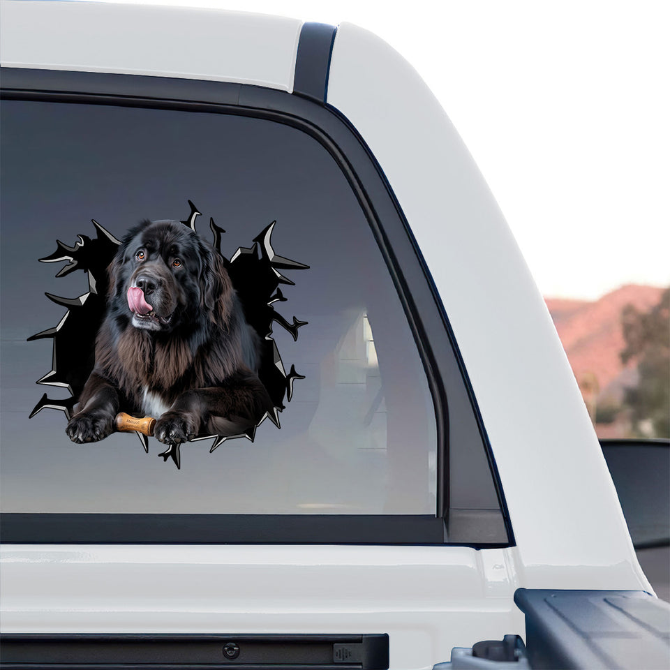 Playful Newfoundland sticker applied to the rear glass of a truck.