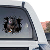Playful Newfoundland sticker applied to the rear glass of a truck.