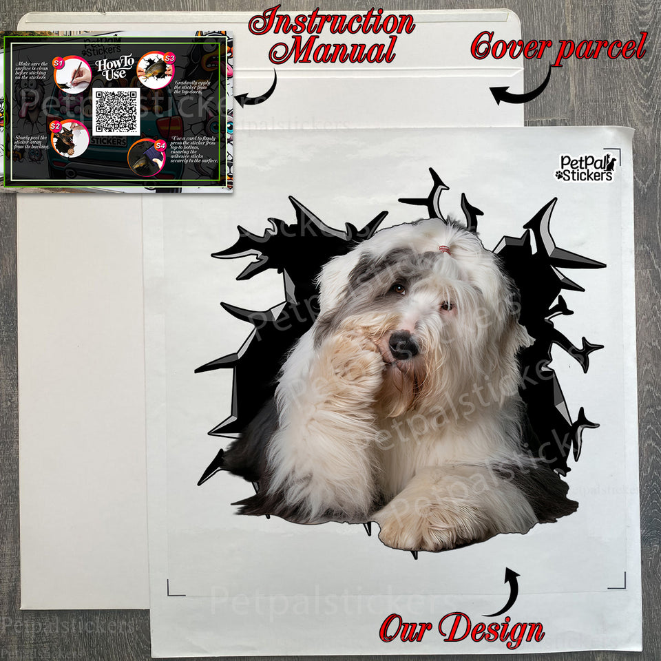 Protective retail package containing the Old English Sheepdog decal with instructions.