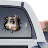 Playful Pekingese sticker displayed proudly on the back window of a truck.