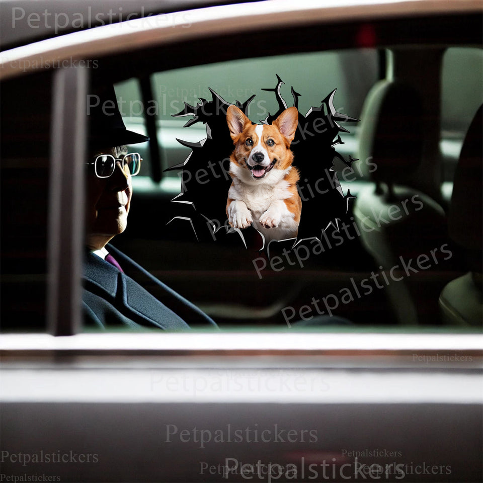Vibrant Pembroke Welsh Corgi sticker displayed on the smooth exterior panel of a car door.
