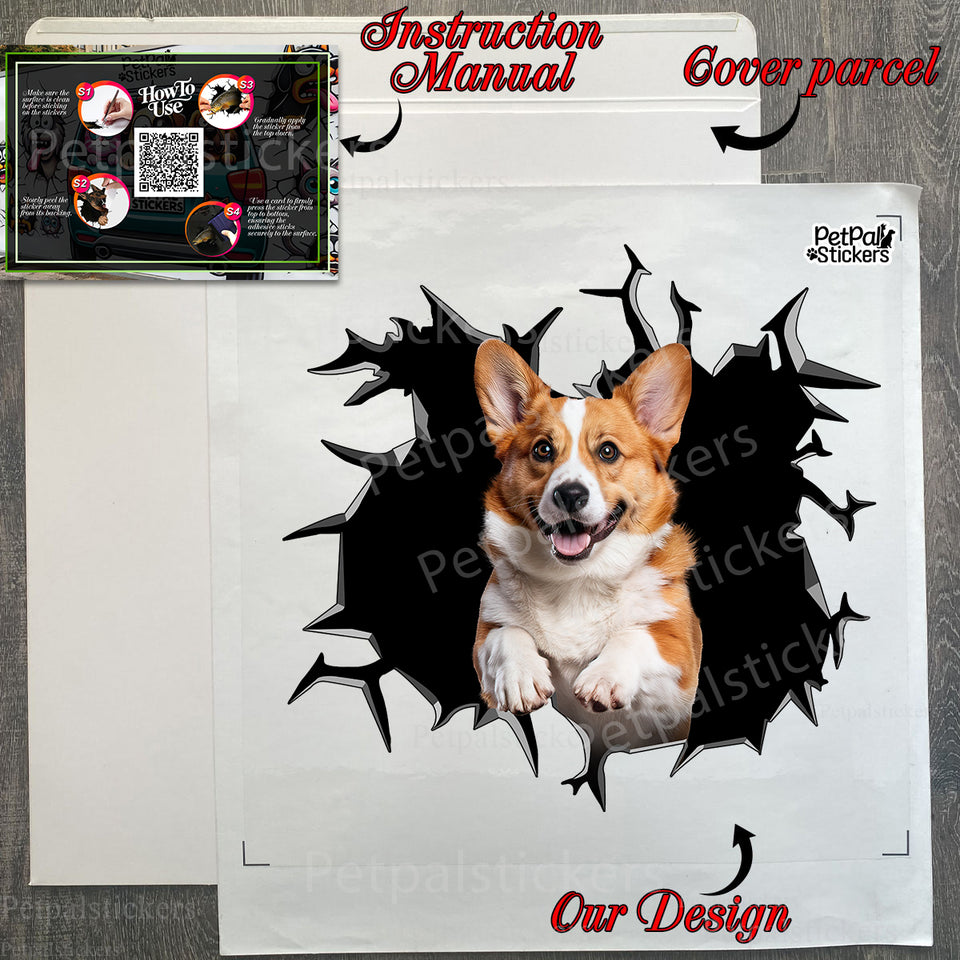 Unboxing the Pembroke Welsh Corgi decal with clear instructions inside the retail package.