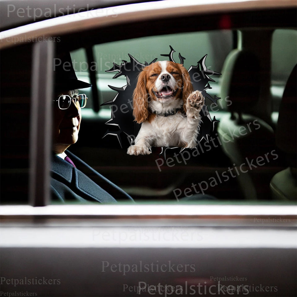 Petpal graphic decal smoothly applied to a clean car door surface.