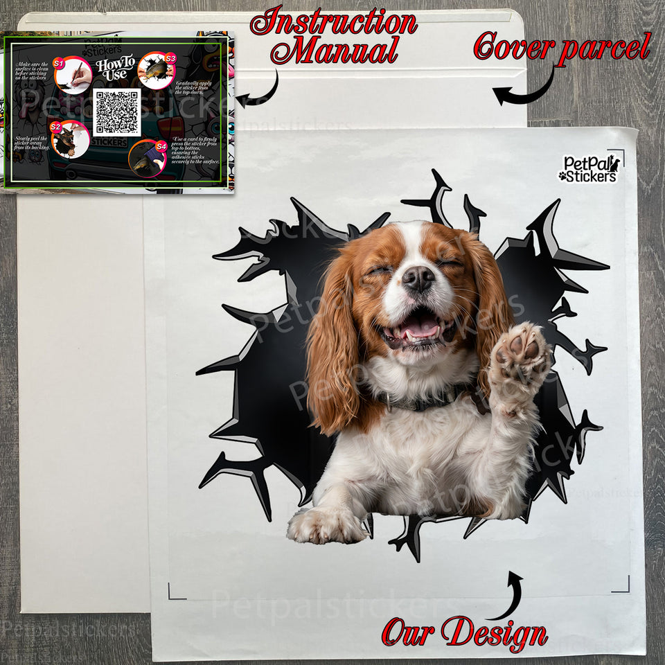 Protective mailer package containing the Petpal vinyl decal with guide.