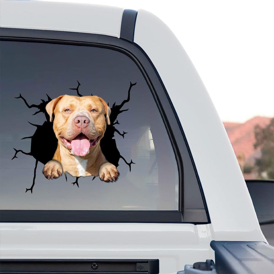 Standalone product design featuring detailed Pitbull dog graphic artwork on clear vinyl.