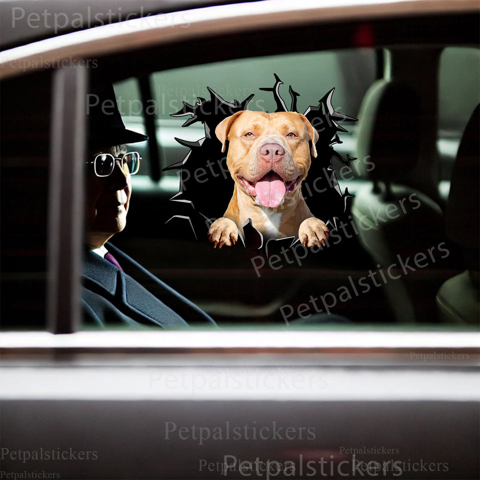 Glossy Pitbull car decal displayed neatly on a white car door exterior.