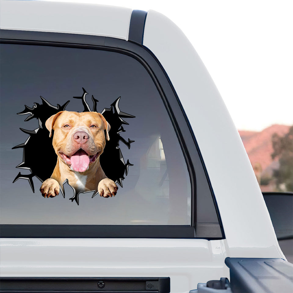 Durable vinyl Pitbull sticker affixed to the rear window of a truck.