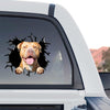 Durable vinyl Pitbull sticker affixed to the rear window of a truck.