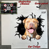 Complete decal package with instructions ready for Pitbull enthusiasts.