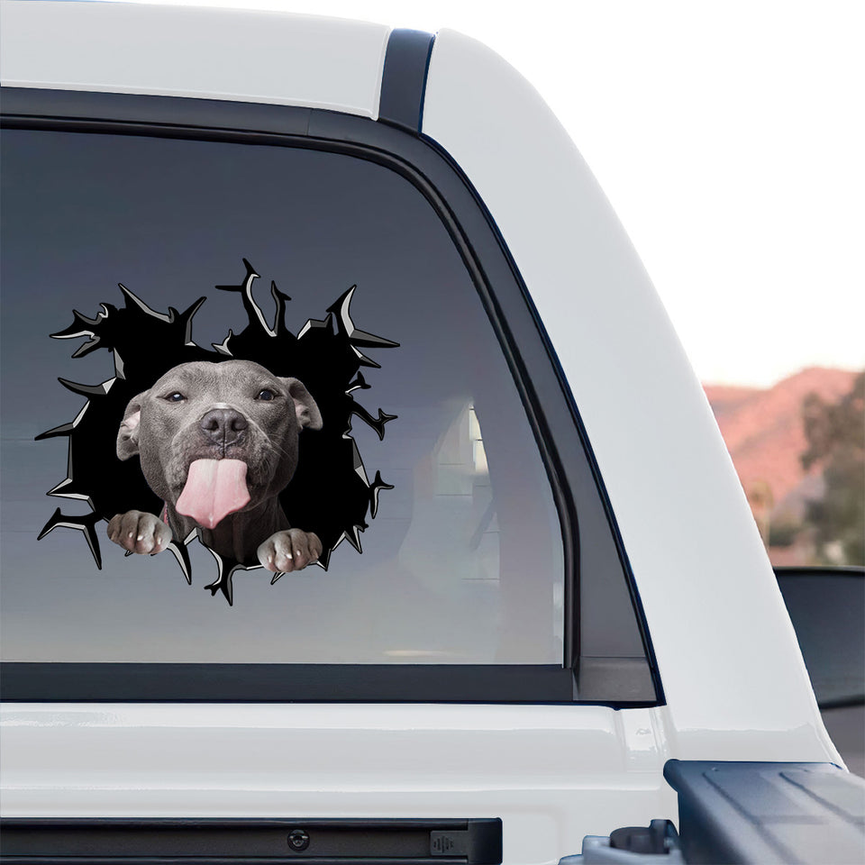 Eye-catching Pitbull graphic sticker applied to the rear window of a truck.
