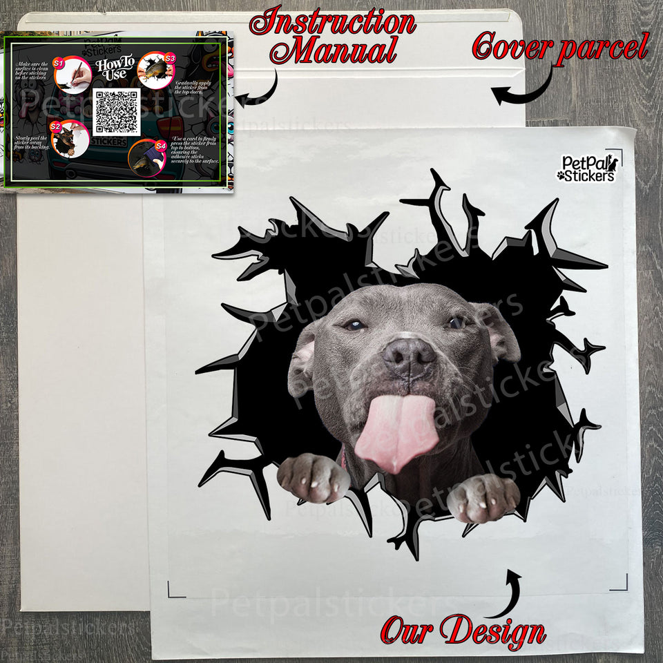 Securely packed Pitbull decal ready for shipping with included package guide.