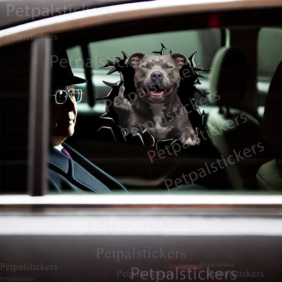 Pitbull dog decal applied smoothly onto the glossy exterior car door.