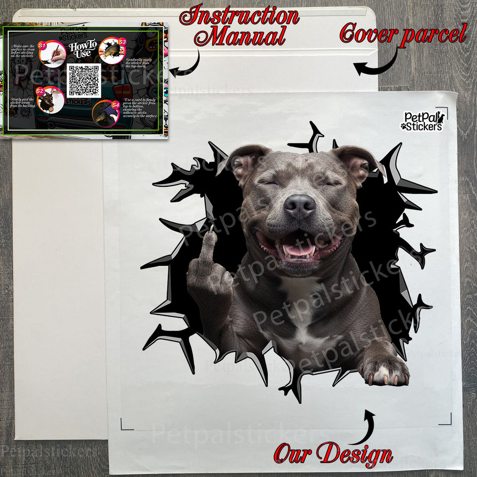 Carefully packed Pitbull decal ready for safe unboxing with instructions in the package.