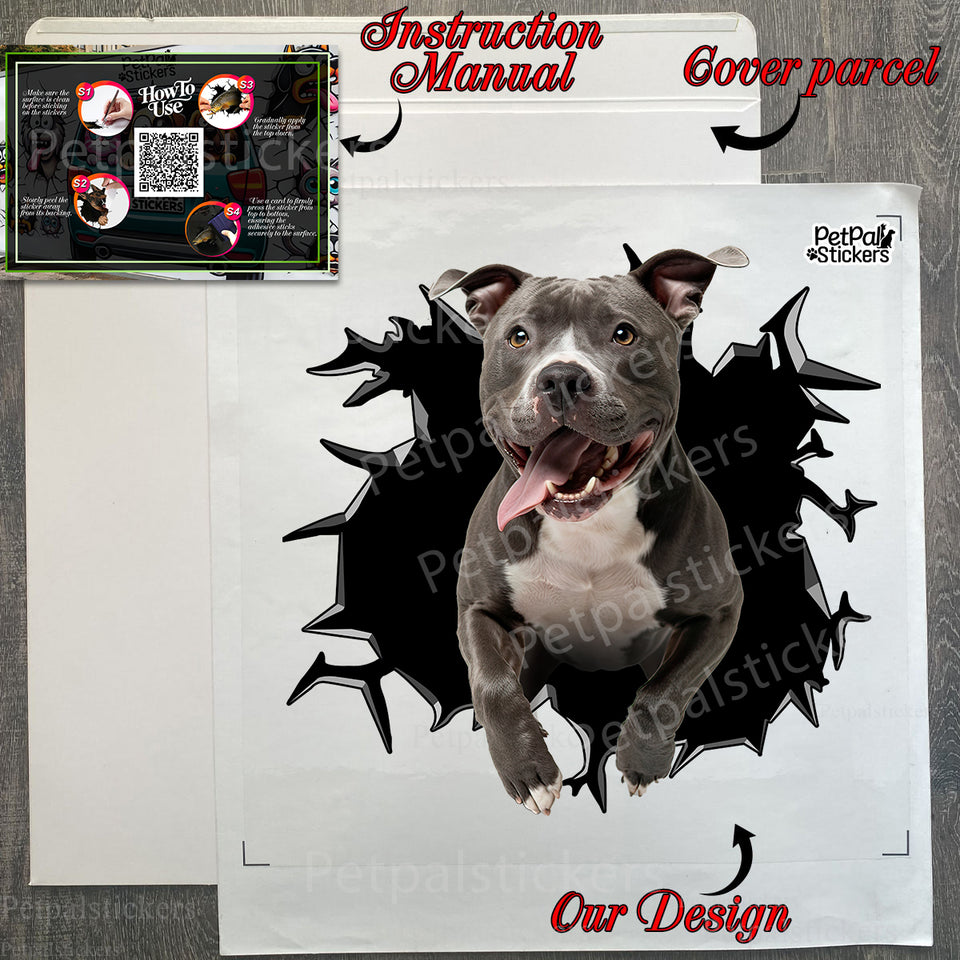 Included installation instructions and Pitbull decal package ready for application.
