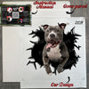 Included installation instructions and Pitbull decal package ready for application.