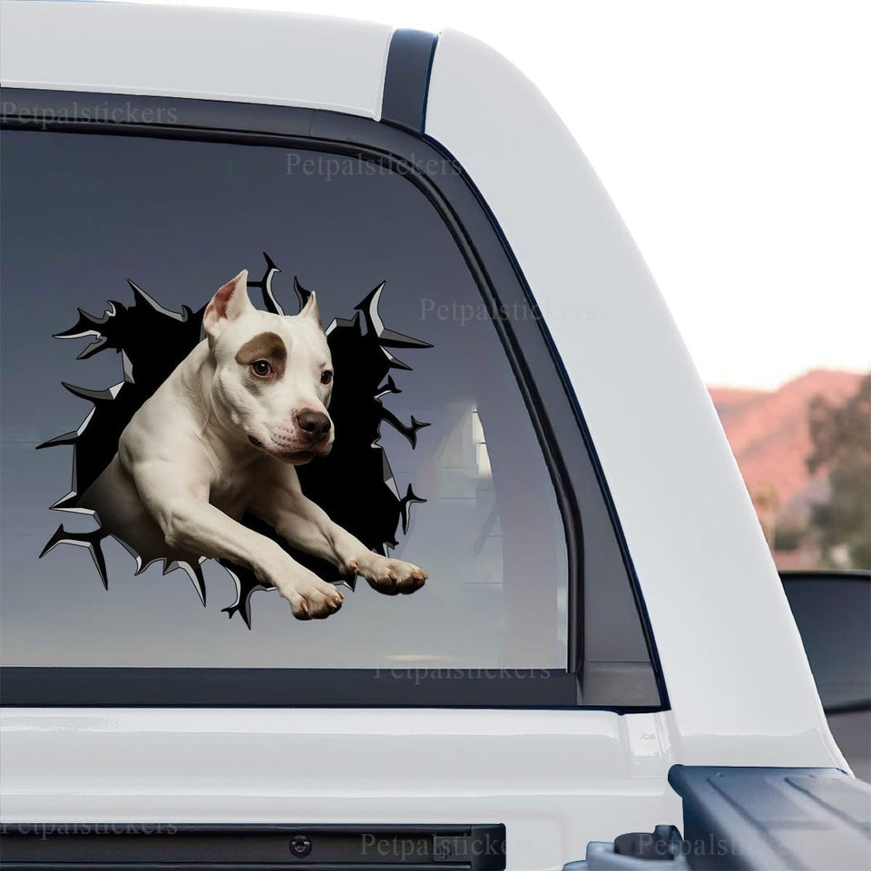 Standalone product design of a funny Pitbull peeking through a cracked glass car window.